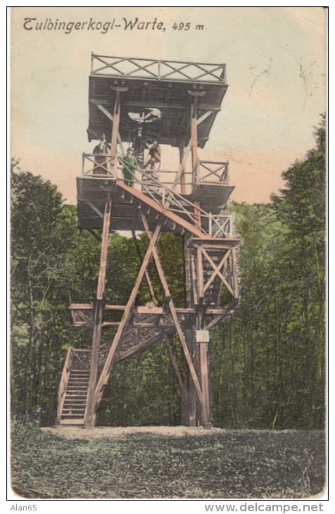 Tulbingerkogel-Warte Observation Tower, Austria C1910s Vintage Postcard - Other & Unclassified