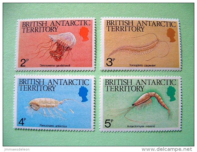 British Antarctic Territory (BAT) - 1984 - Mint - Marine Invertebrates (Scott 103/106) - Neufs