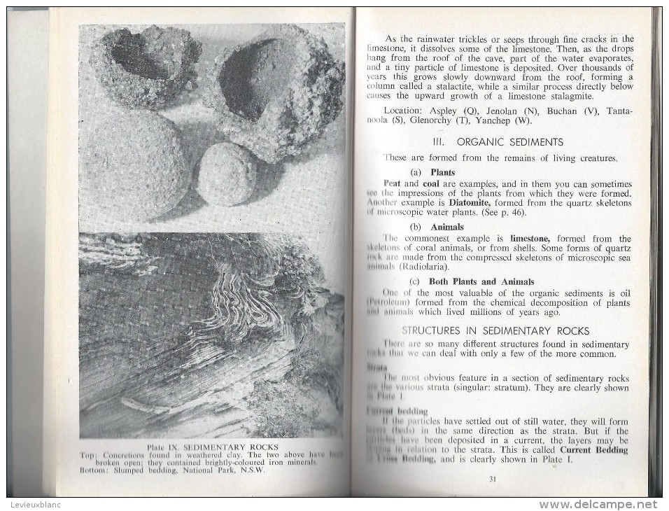 Manuel/ Australian Rocks And Minerals/An Introduction To Geology/John Child/Periwinkle / 1963    LIV43 - Minerali
