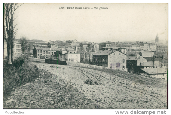 43 SAINT DIDIER EN VELAY / Vue Générale / - Saint Didier En Velay