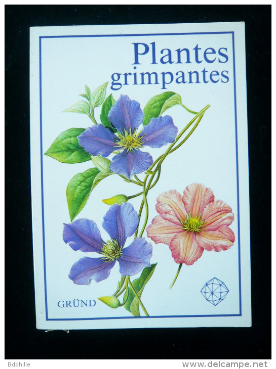 Grund  Plantes Grimpantes 1990 Excellent Etat - Jardinage