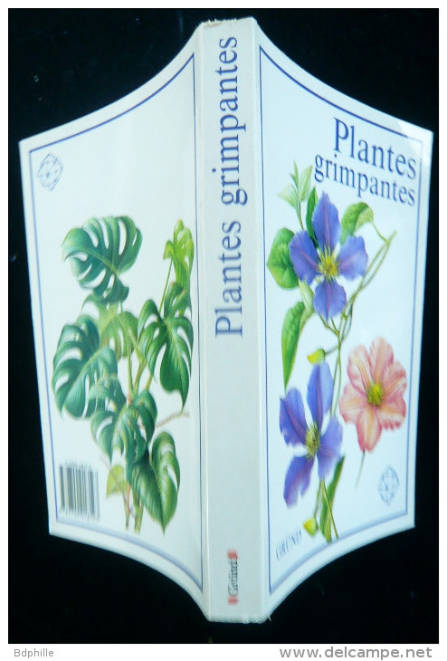 Grund  Plantes Grimpantes 1990 Excellent Etat - Jardinage