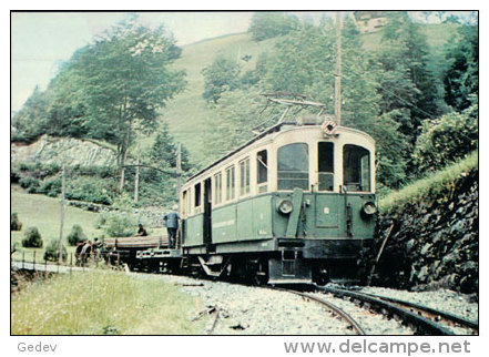 Chemin De Fer Suisse, Aigle - Champéry, Train Entre Champéry Et La Cour Photo 1969 Ferroview 77177 AOMC - Treinen