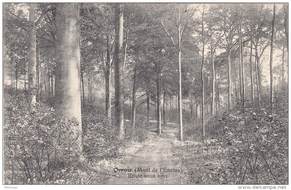 Orroir - ( Mont De L'Enclus ) Route Sous Bois - 1912 - Kluisbergen