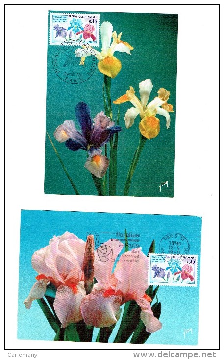 MAXIMUN CARD FRANCE FLEURS DE FRANCE  FLORALIES 1969 (2 MAX) - Other & Unclassified