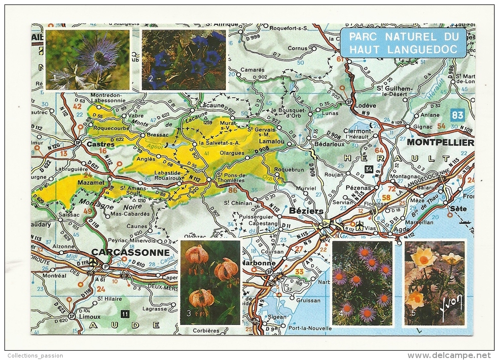 Cp, Carte Géographique, Parc Naturel Du Haut Languedoc - Carte Geografiche