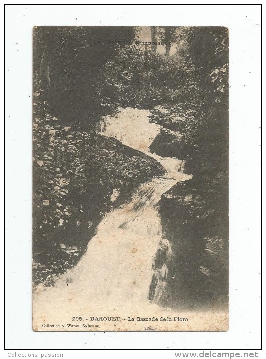 Cp , 22 , DAHOUET , La Cascade De La Flora , Voyagée 1906 - Autres & Non Classés