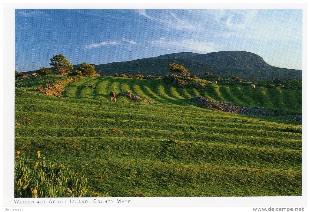 Postcard - Meadows On Achill Island, Mayo. 2014 - Mayo