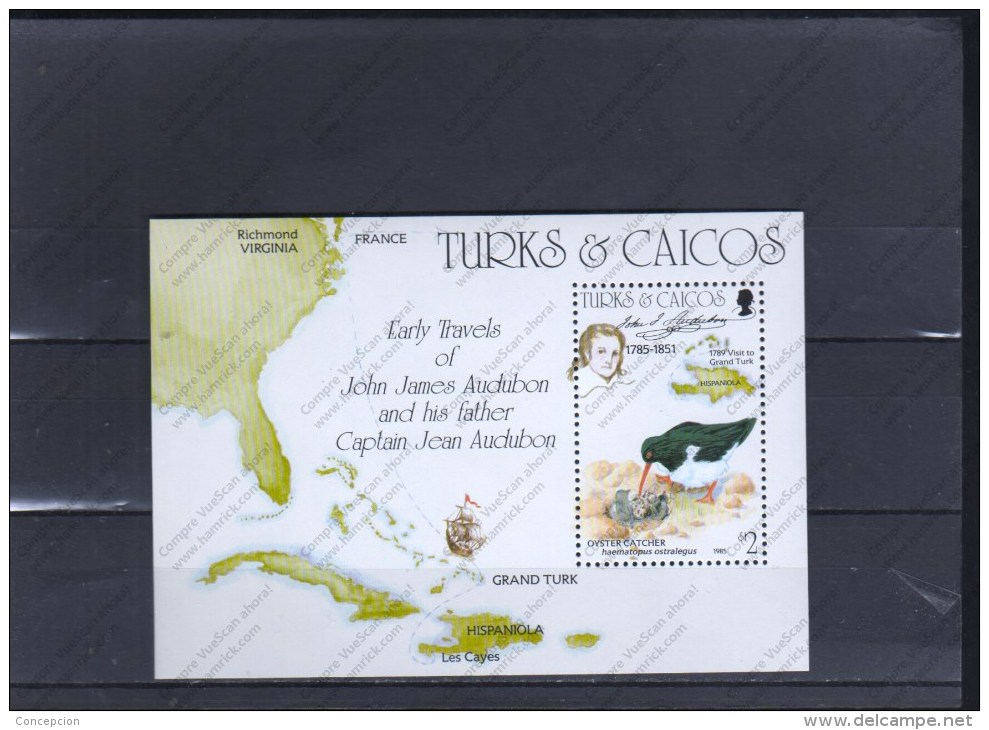 TTURKS CAIQUES Nº HB 56 - Marine Web-footed Birds