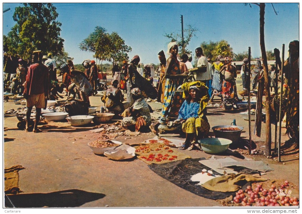 AFRIQUE DE L´OUEST,AFRICA,AFRIKA,COT E D´IVOIRE,Prés MALI,BURKINA FASO,LIBERIA,marché,marke T,commerçant,métier,abidj An - Côte-d'Ivoire