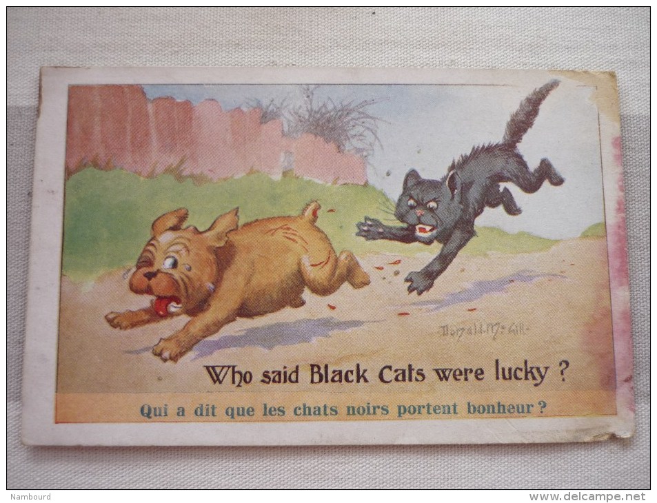 Who Said Black Cats Were Lucky? - Mc Gill, Donald