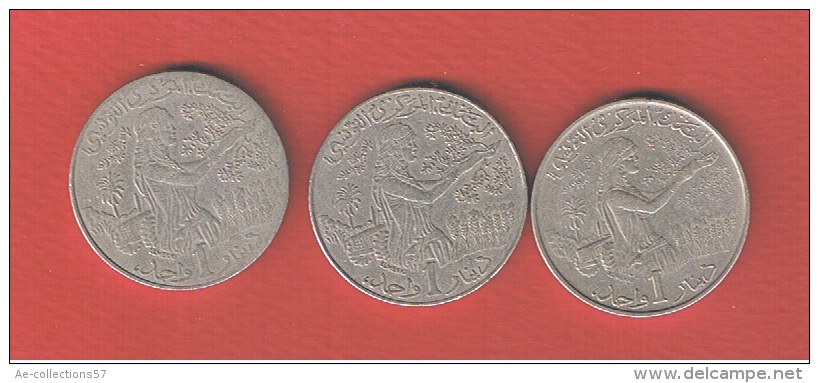 TUNISIE  //  Lot De 3 Monnaies - Tunisie