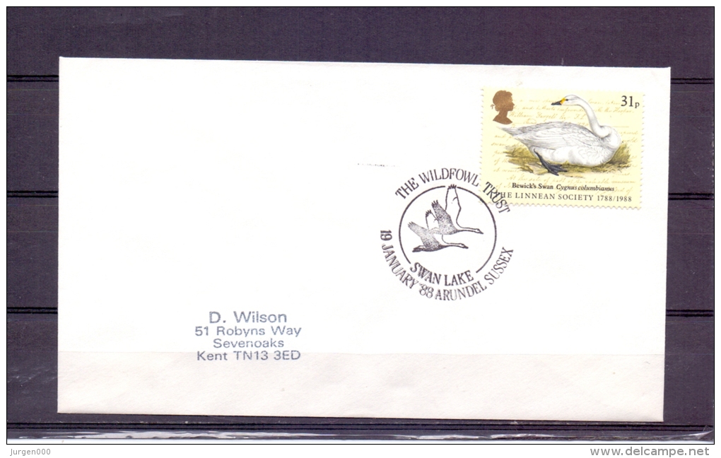 Great Britain  - The Wildfowl Trust - Swan Lake - Arundel 19/1/88  (RM5755) - Cisnes