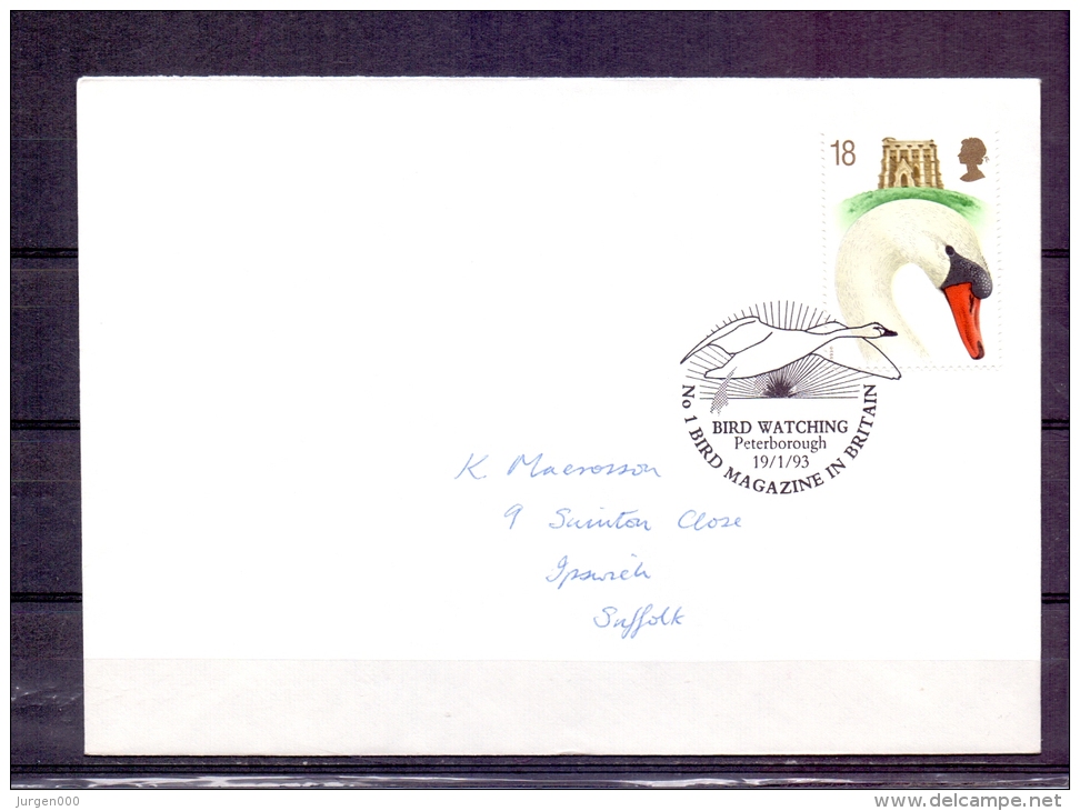 Great Britain  - Bird Watching - Peterborough 19/1/93  (RM57564) - Cygnes