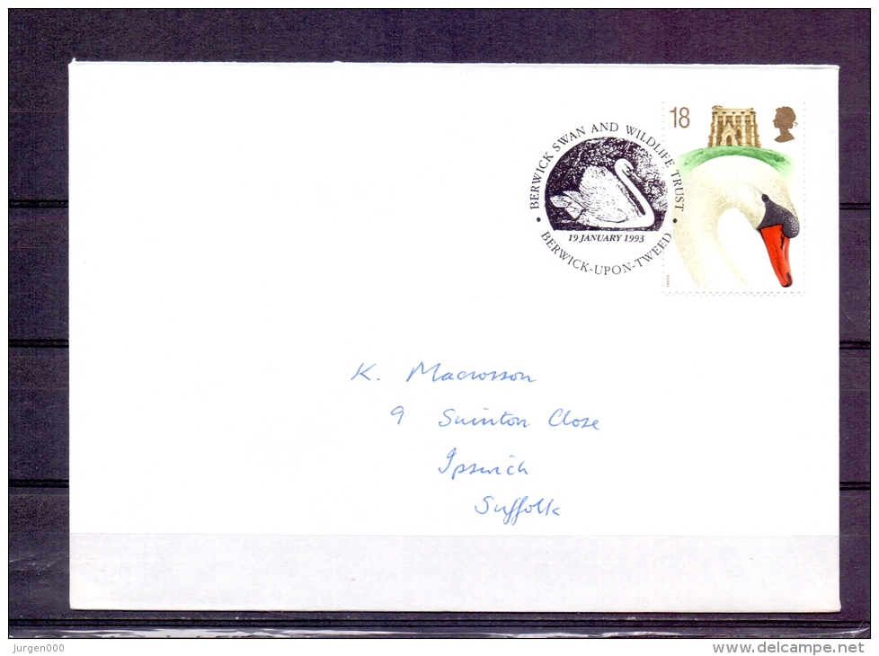 Great Britain  - Berwick Swan And Wildlife Trust -  19/1/1993  (RM57569) - Cisnes