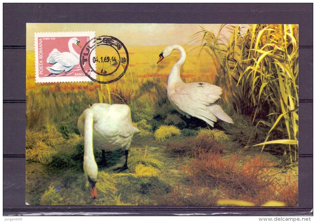 Posta Romana - 4/1/69  (RM5803) - Swans