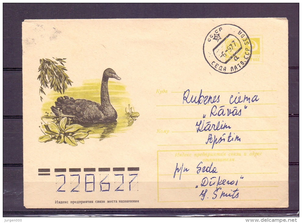 Noyta CCCP -  6/9/77  (RM5820) - Cisnes