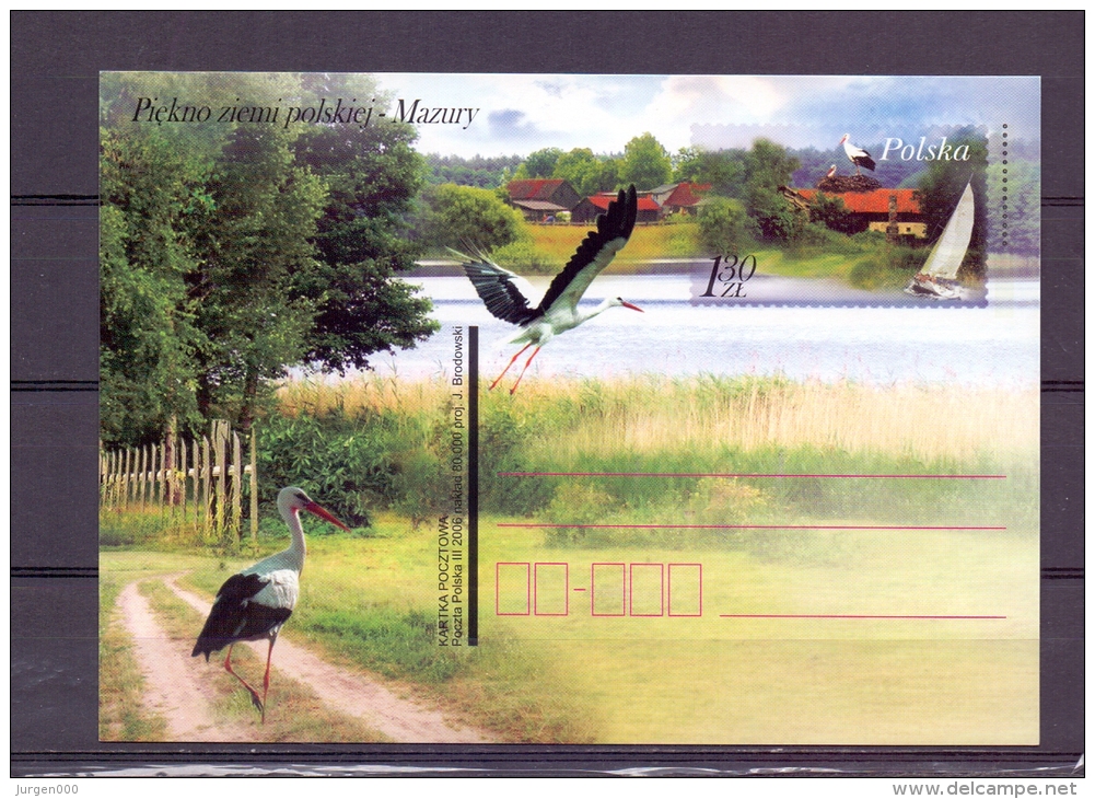 Polska -   (RM5844) - Storks & Long-legged Wading Birds