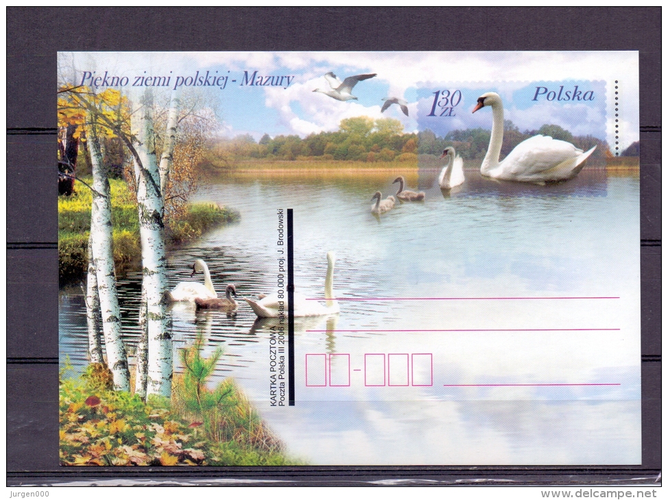 Polska -   (RM5856) - Cygnes