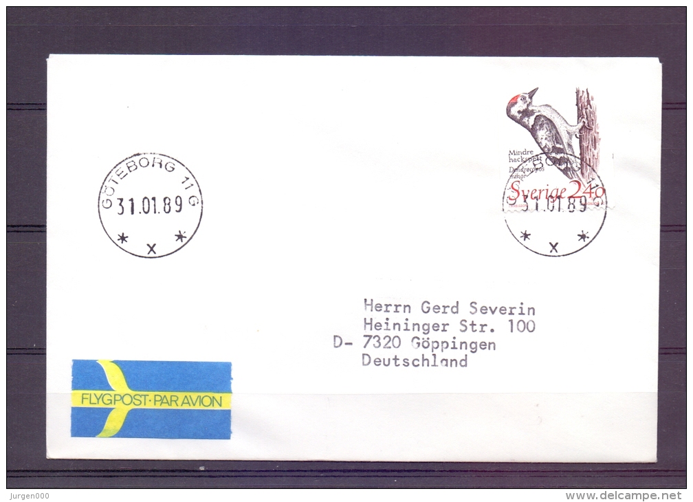 Sverige - Göteborg 31/1/89   (RM6207) - Piciformes (pájaros Carpinteros)