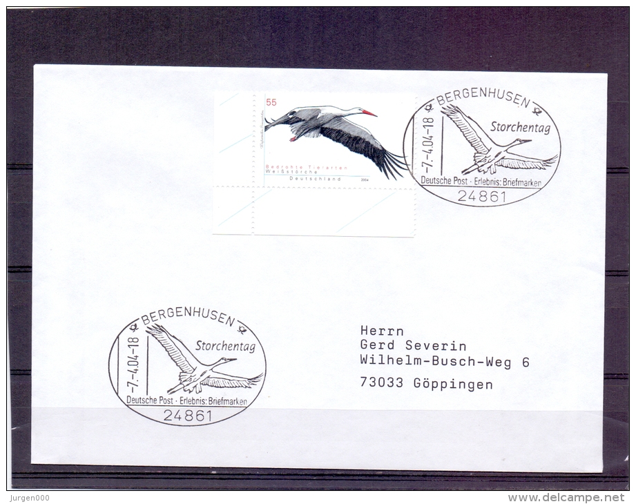 Deutschland -  Storchentag - Bergenhusen 7/4/2004   (RM6586) - Cigognes & échassiers