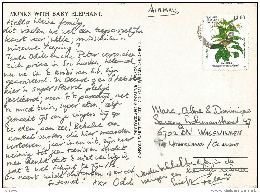 Sri Lanka 1997 Medicinal Herb Rauvolfia Serpentina Viewcard - Sri Lanka (Ceylon) (1948-...)