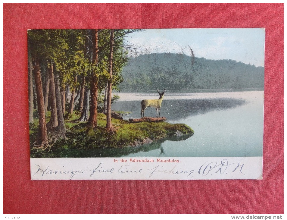 - New York> In The  Adirondack  Mountain  Deer  Ref 1462 - Adirondack