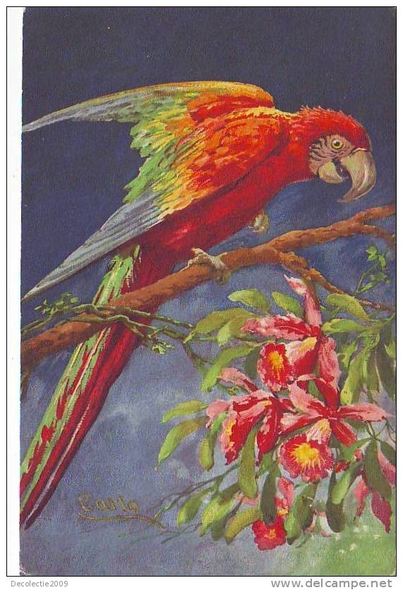 Z5468 Superb Postcard Ilustration Parrot Signed Carlo Not Used PPC 1920 - Chiostri, Carlo