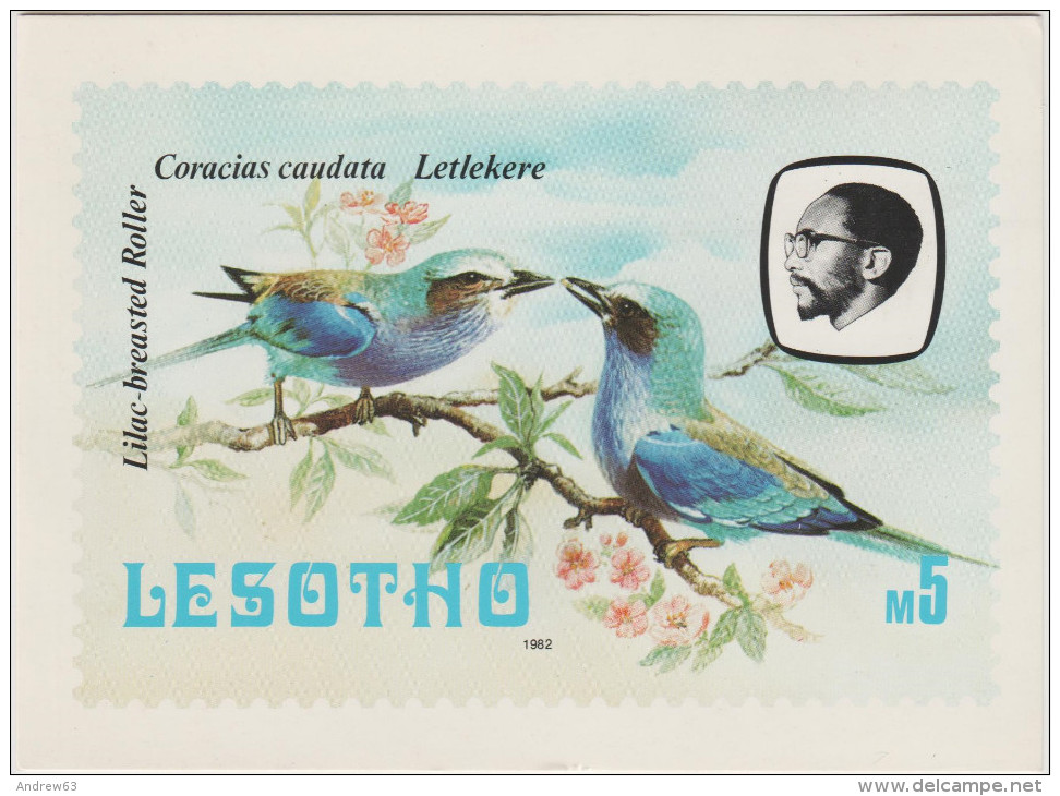 CARTOLINA - LESOTHO - Lesotho Birds - Philatelic Bureau - Not Used - Lesotho