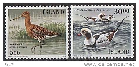 ISLANDE 1988 - Oiseaux D'Islande - 2v Neuf ** (MNH) - Unused Stamps