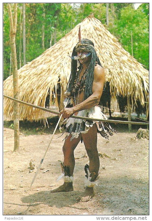 BR - Indios Do Brasil - Tribo Dos Ipixunas / Brazilian Indians "Ipixunas" Tribe Amazone Region  / Regiao Amazonica - Autres