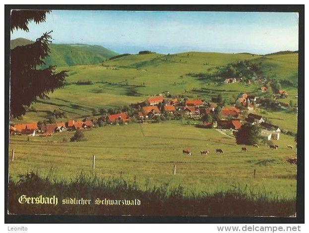 SCHOPFHEIM - GERSBACH Schwarzwald 1992 - Schopfheim