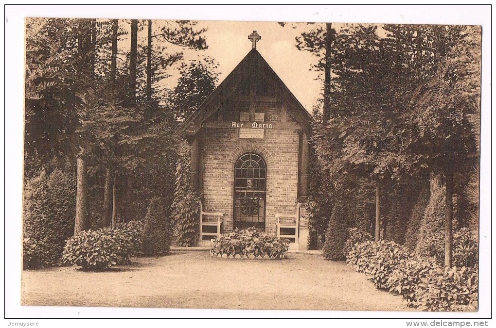 23600 Sysseele Sanatorium Elisabeth - Kapel Van O L Vrous - Chapelle De La Ste Vierge - Damme