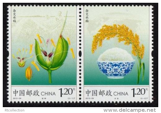 China 2013 Hybrid Rice Farm Farmer Bowl Grain Seed Production Harvest Agriculture Food Plants Nature Stamps MNH 2013-29 - Other & Unclassified