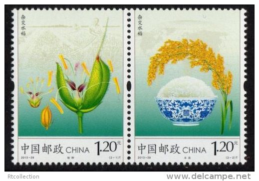 China 2013 Hybrid Rice Farm Farmer Bowl Grain Seed Production Harvest Agriculture Food Plants Nature Stamps MNH 2013-29 - Agriculture