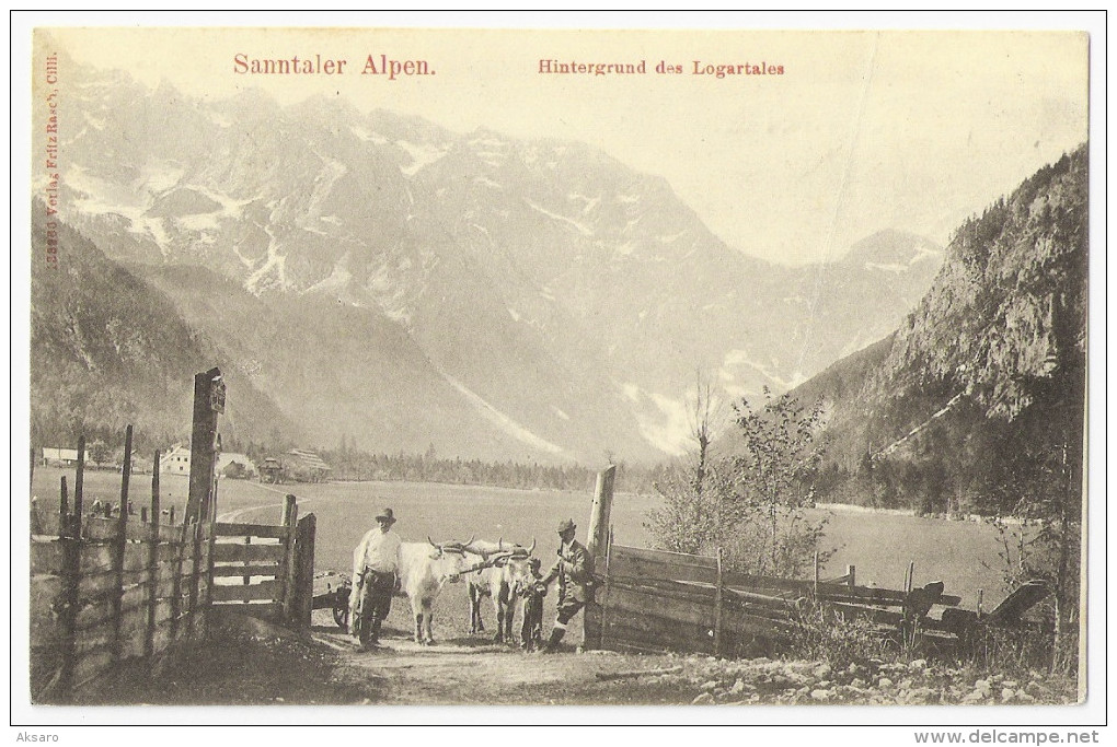 Sanntaler Alpen, Hintergrund Des Logartales (Logarska Dolina, Kamniške Alpe) - Slovenië