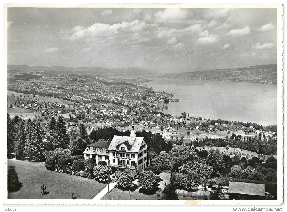 Feusisberg - Hotel Schönfels Gegen Zürichsee           Ca. 1950 - Feusisberg