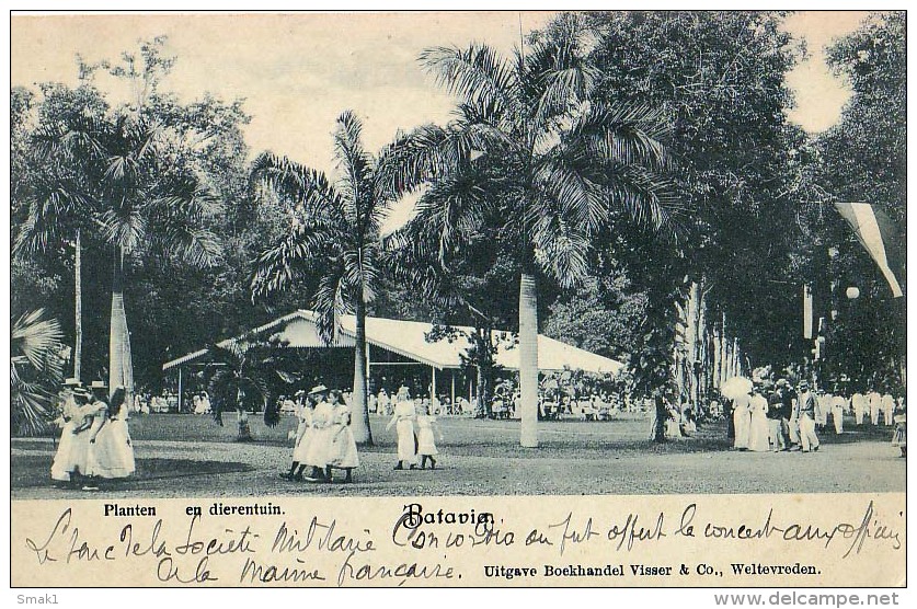 AK INDONESIEN JAKARTA  Batavia, Suriname PLANTEN  ALTE POSTKARTE  VOR 1904 - Indonesien