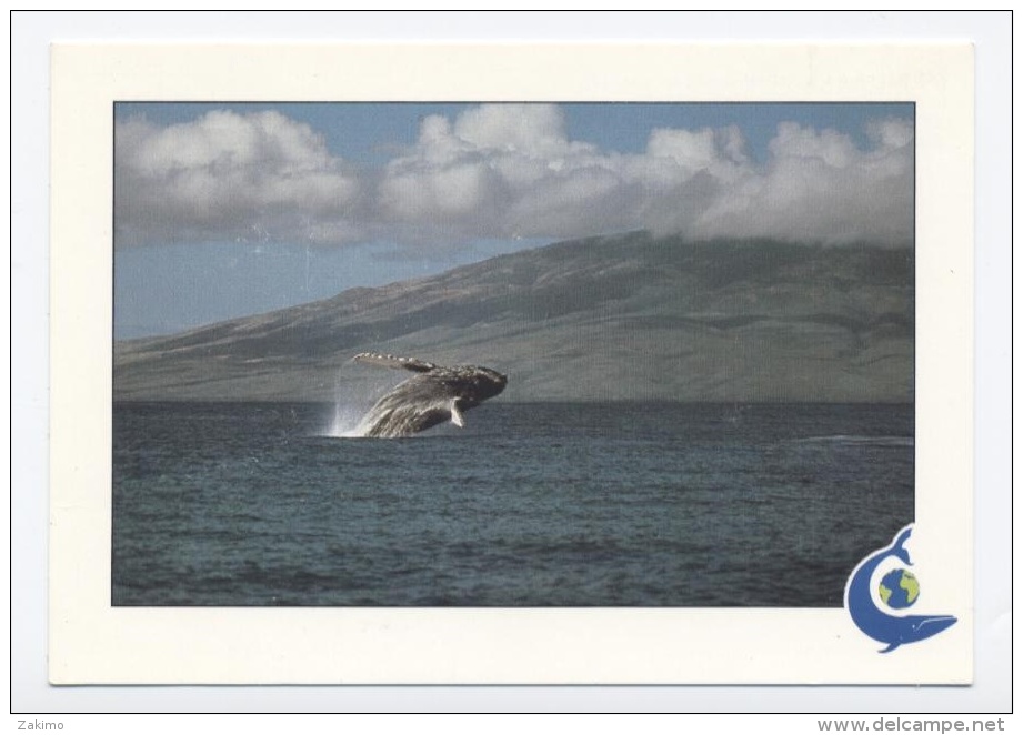 COUSTEAU-- UNE BALEINE A BOSSE. DANS LES EAUX DE L'ILE MAUI -RECTO /VERSO- C1 - Maui