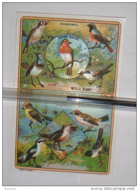 Lot De 2 Chromos Sur Les Oiseaux (passereaux Et Pigeons) - Birds - Otros & Sin Clasificación