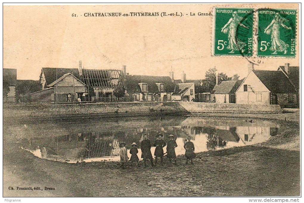 CHATEAUNEUF En THYMERAIS La Grande Mare - Châteauneuf