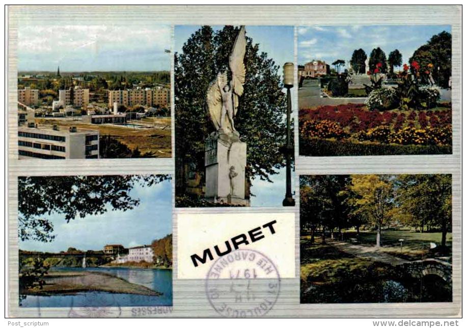 Muret Vue Générale Monument Ader Parc Bords De La Garonne Parc Jean Jaurès - Muret