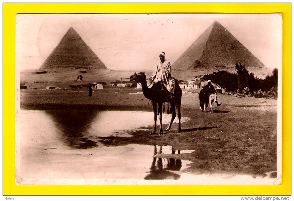 THE PYRAMIDS OF GIZEH * CAIRO EGYPT * Ane Mull Dromadaire Dromedary * Afrique Nord CARTE PHOTO Lehnert & Landrock 3456 - Pyramides