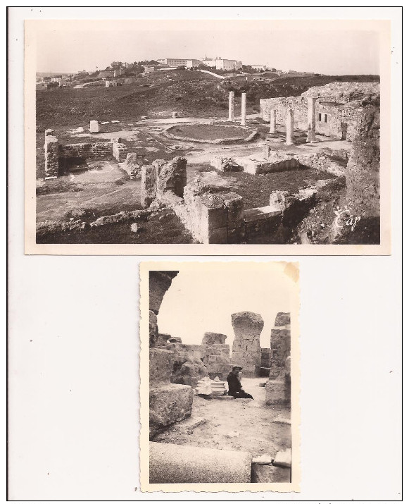 Photo Originale 87 X 60 Mm Carthage Tunisie Les Ruines + Une CP Villas Romaines - Années 50 - Scan R/V - Lieux