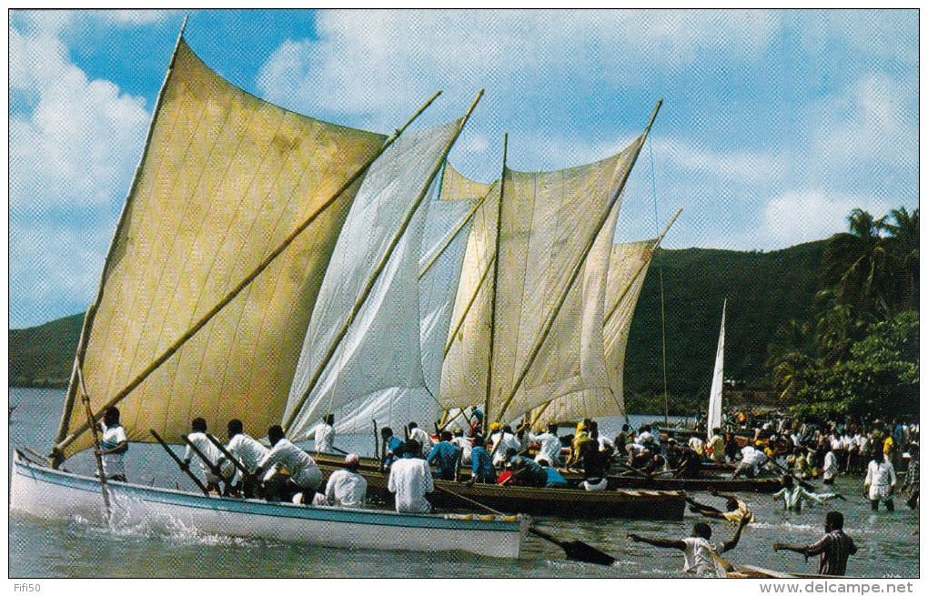 4cartes De La Martinique Course De Yoles Au MARIN Foànd Lahaye Fete Au Village CARBET La Plage De Cocotiers - Le Marin