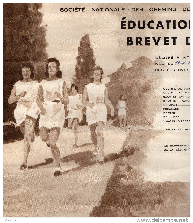 SNCF  - Région Sud - Est  -  EDUCATION  PHYSIQUE -  BREVET  DES JEUNES -  STADE De CHEDDE (74)   Aout 1954. - Diplômes & Bulletins Scolaires