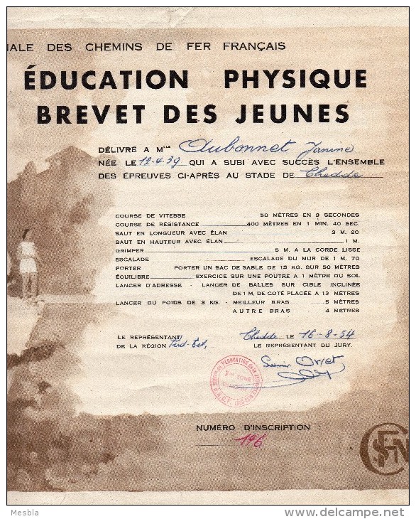 SNCF  - Région Sud - Est  -  EDUCATION  PHYSIQUE -  BREVET  DES JEUNES -  STADE De CHEDDE (74)   Aout 1954. - Diplômes & Bulletins Scolaires