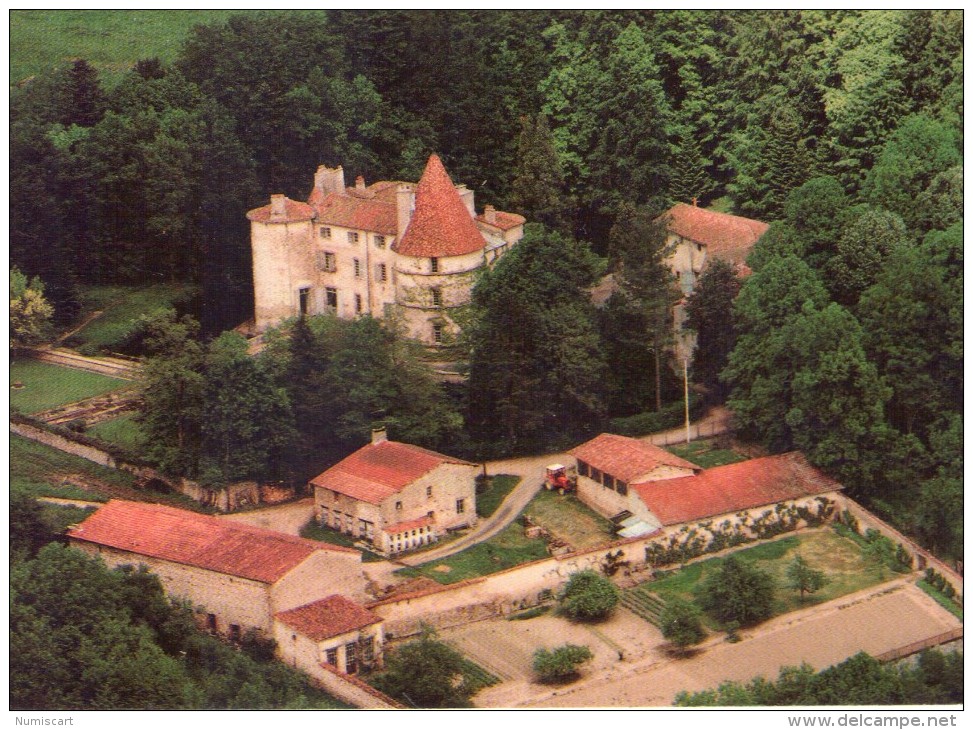 St-Dier-d'Auvergne.. Le Château Des Martinanches - Autres & Non Classés