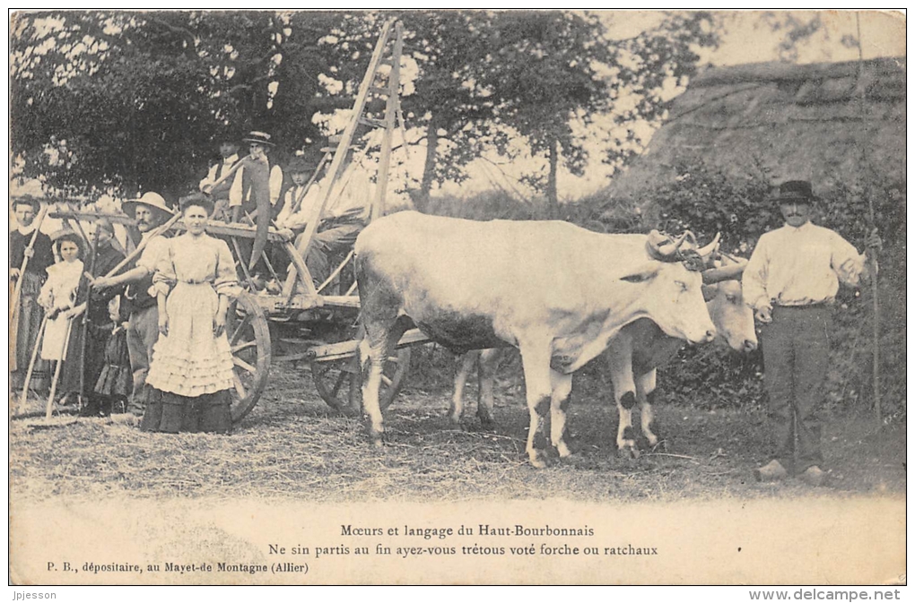 ALLIER  03  LE MAYET DE MONTAGNE  MOEURS ET LANGAGE DU HAUT BOURBONNAIS  ATTELAGE BOEUFS - Otros & Sin Clasificación