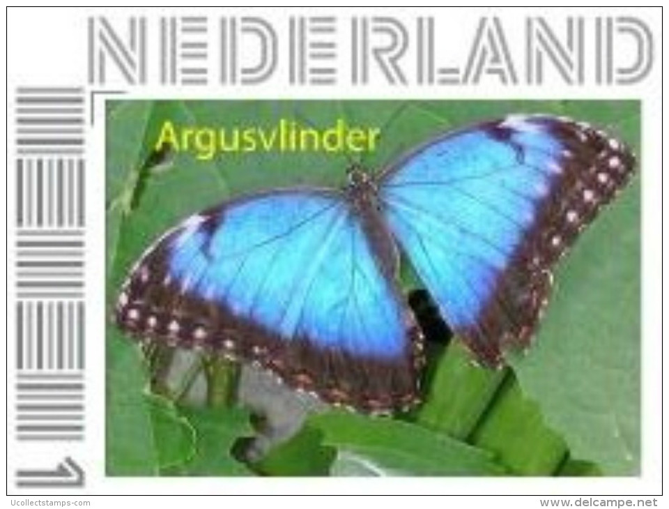 Nederland  2014-3   Butterfly Argusvlinder      Postfris/mnh/neuf - Unused Stamps